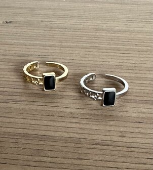 Ringen in goud- of zilverkleur uit RVS met zwart accent